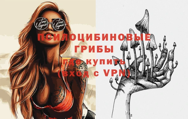 амф Арсеньев