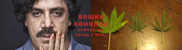 каннабис Аркадак