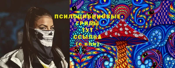не бодяженный Осташков