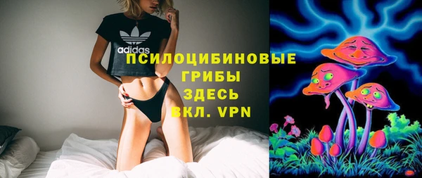 амф Арсеньев