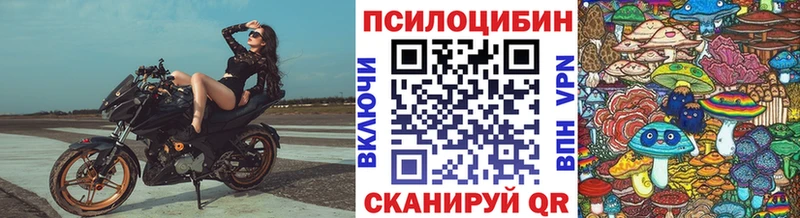 Галлюциногенные грибы прущие грибы нарко площадка состав Мезень